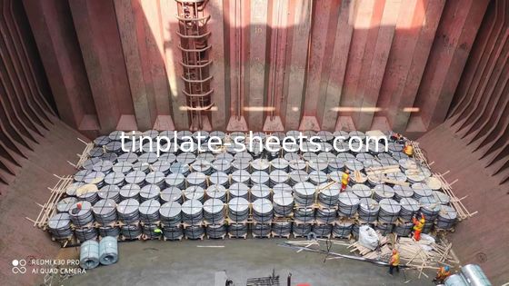Тинистая катушка листов Mill Manufacturer EN10202 Каменная Серебряная Яркая отделка T3 T4 T5 T2.5 DR8 Тинистая катушка для химических банок