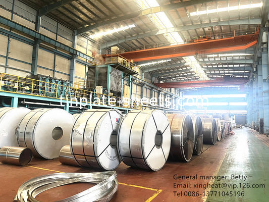 Мат Finish Tin Free Steel Strip 60-140mg/m2 Кромовое покрытие и ширина 600mm-907mm